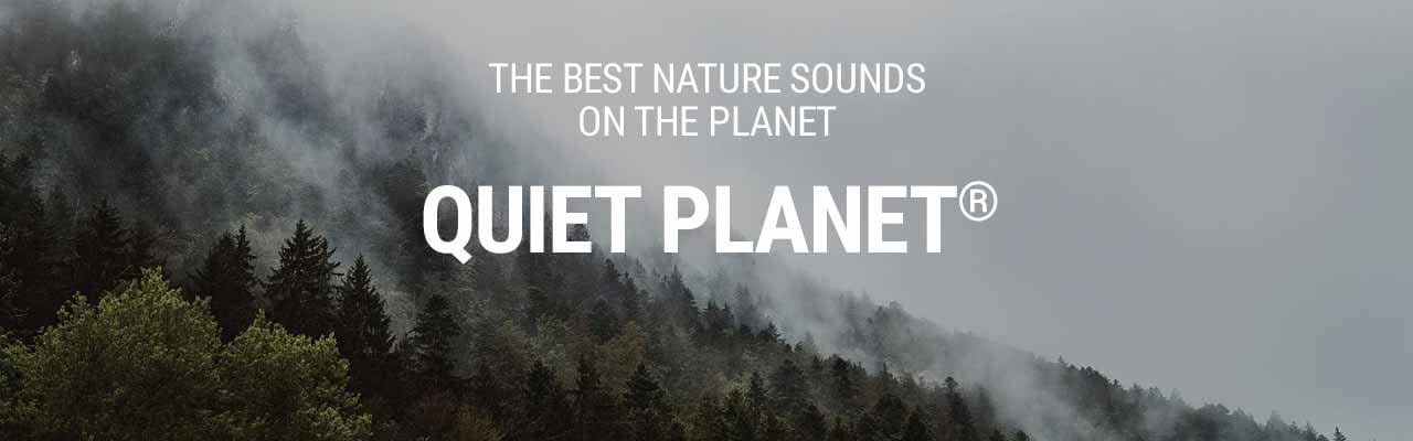 The Complete Quiet Planet Teaser Header Rectangle Nature Sounds