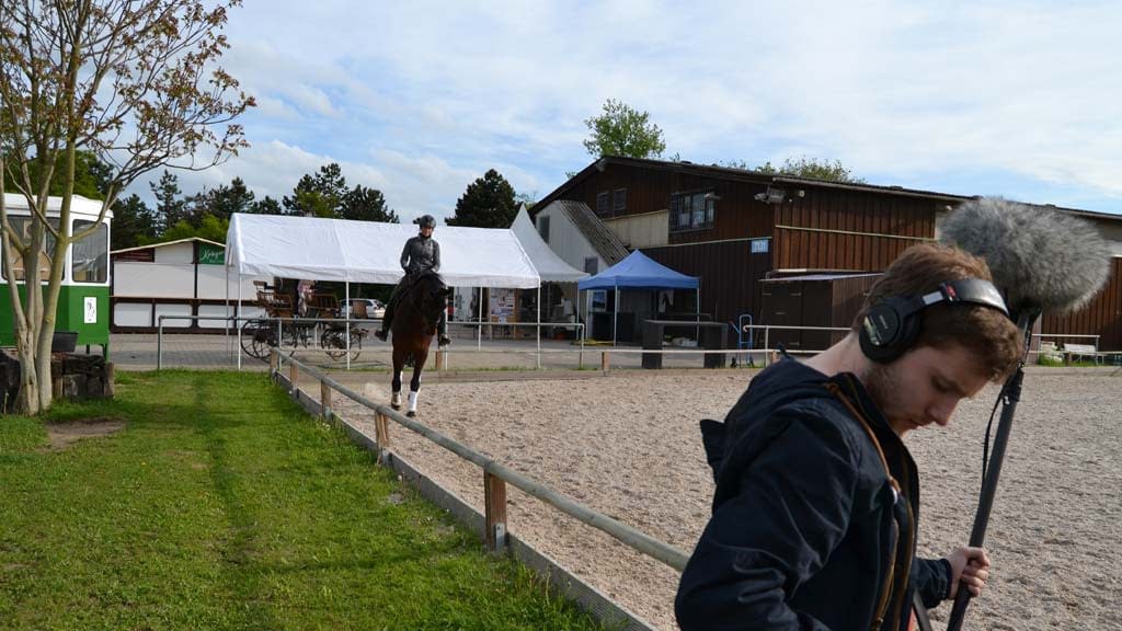 Horses