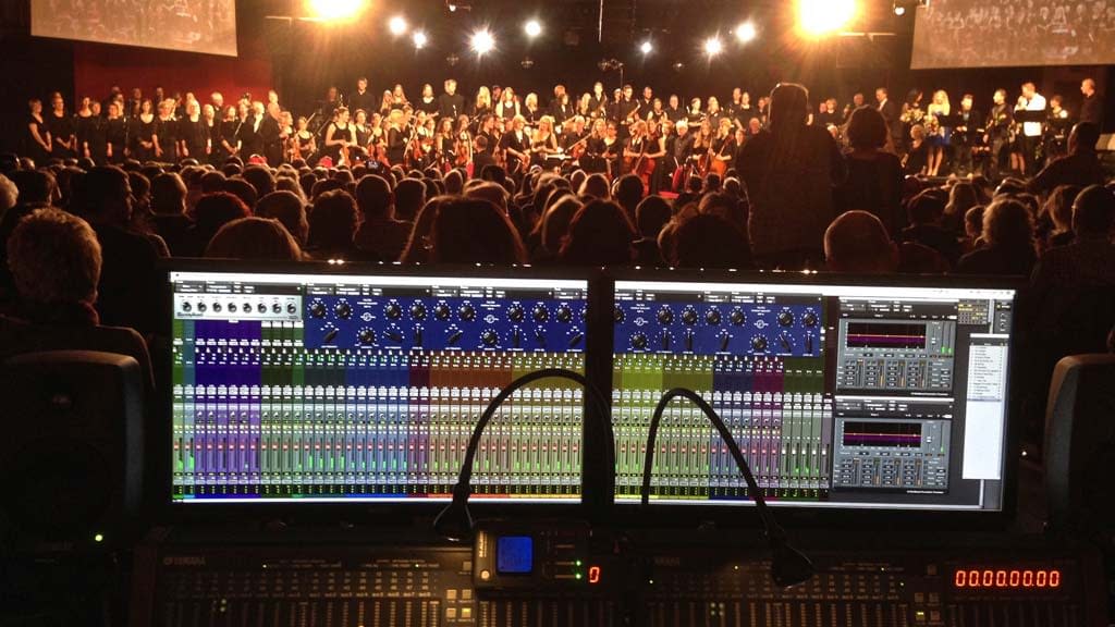 Crowds – Concert Audiences