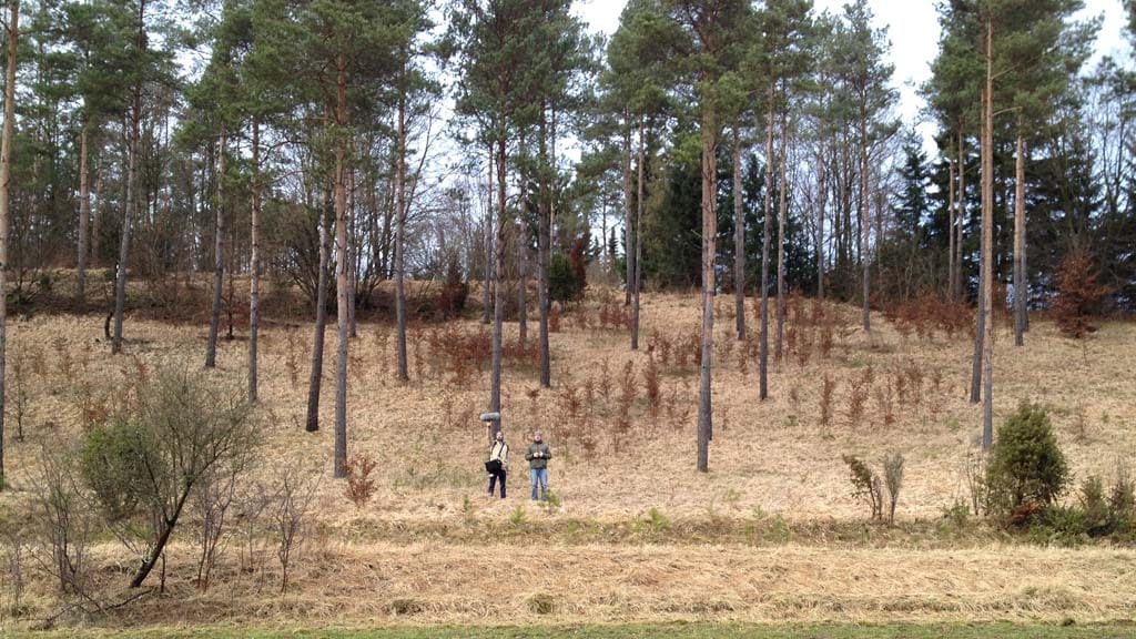 Outdoor Impulse Responses
