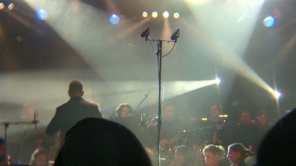 Crowds – Concert Audiences