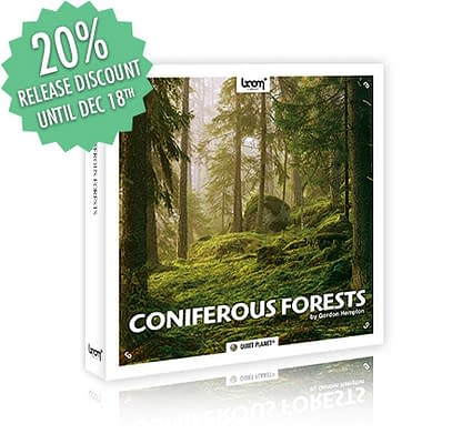 [NEW RELEASE] CONIFEROUS FORESTS – NATURE AMBIENCES
