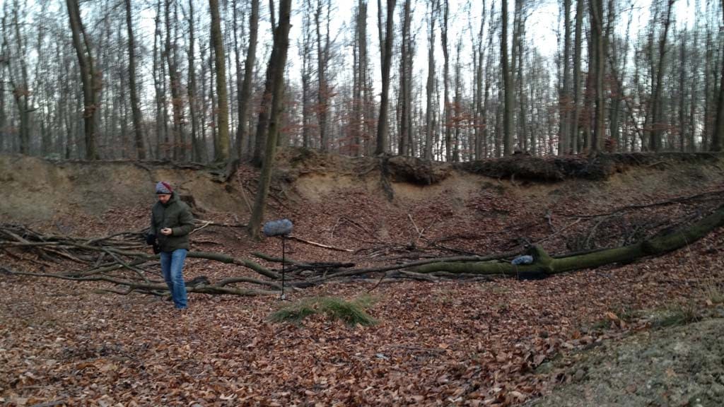 Outdoor Impulse Responses