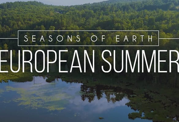 EUROPEAN SUMMER – BEHIND THE SEASON