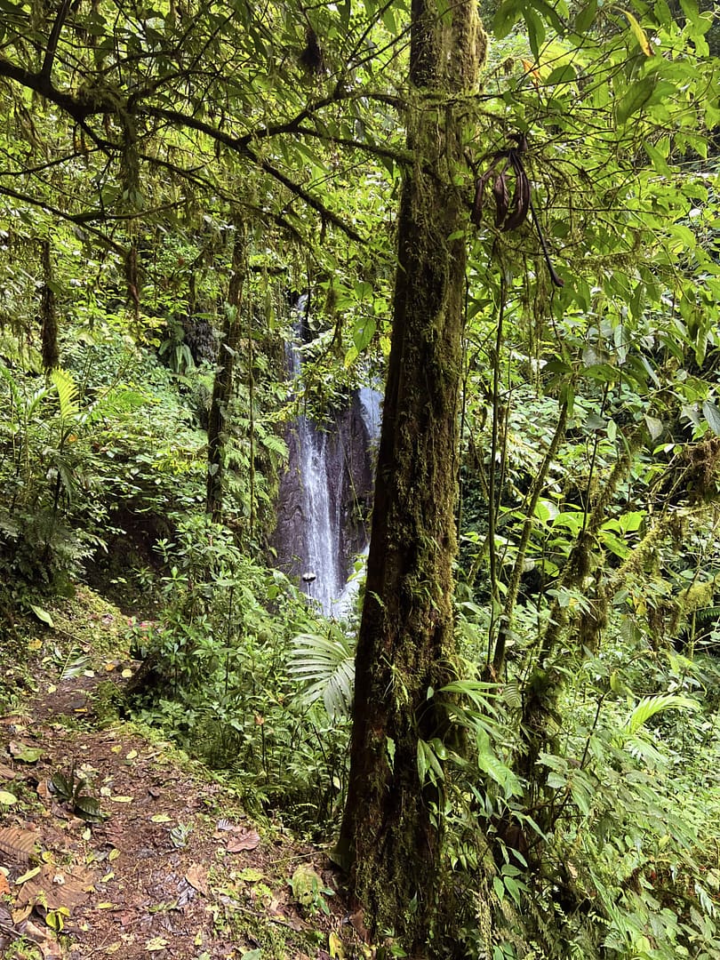 waterfall in the jungle