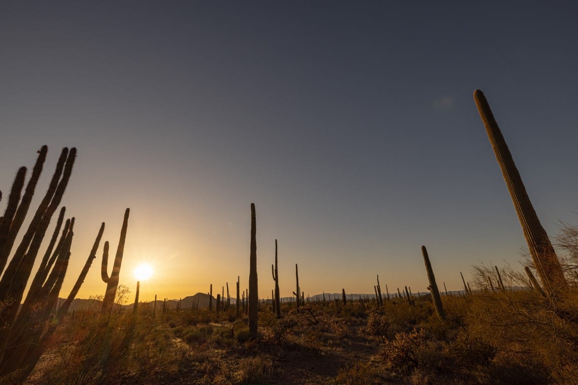 desert