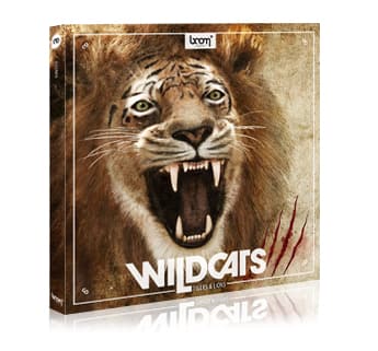 WILDCATS Released