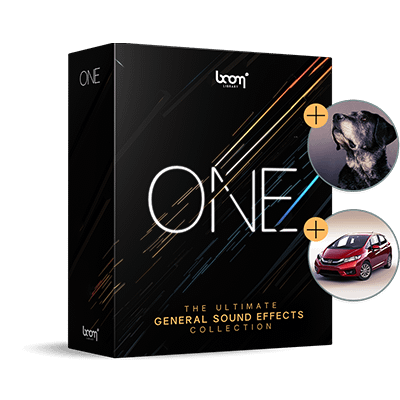 BOOM ONE UPDATE: DOGS & CAR HANDLING
