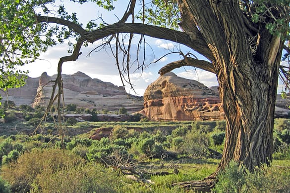GORDON HEMPTON: PREPARATION AND PRESENCE – KNOW YOUR TERRAIN