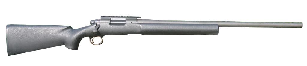 Assault Weapons