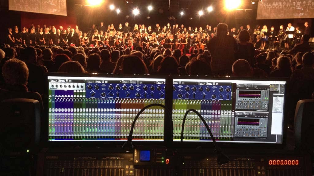 Crowds – Concert Audiences