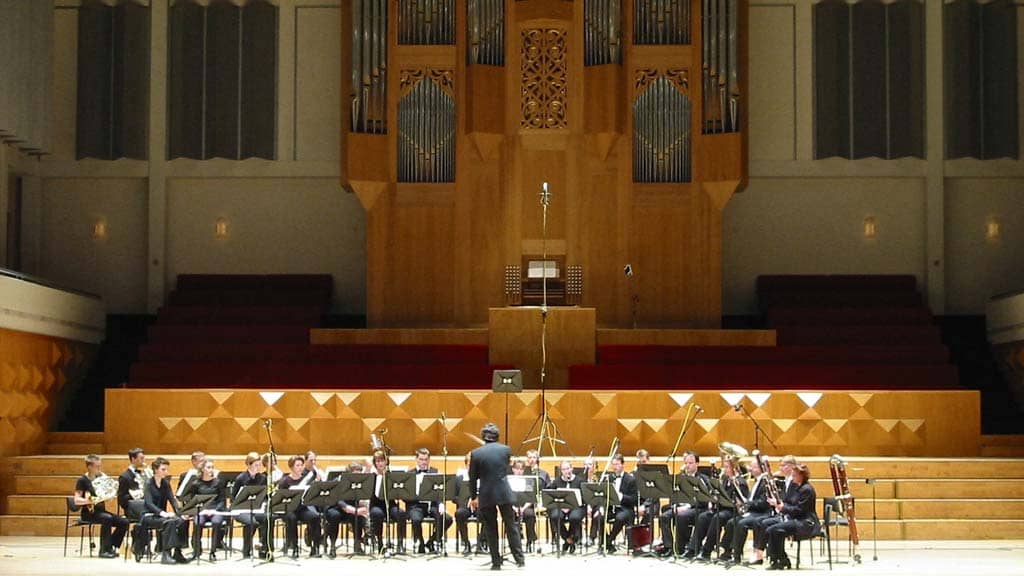 Crowds – Concert Audiences