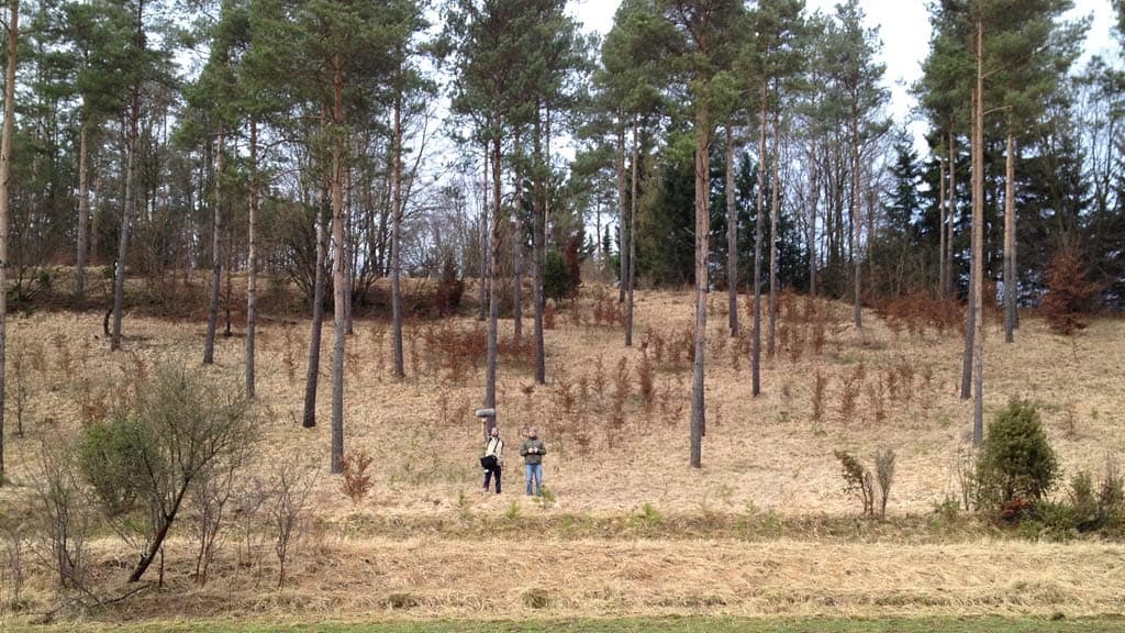 Outdoor Impulse Responses