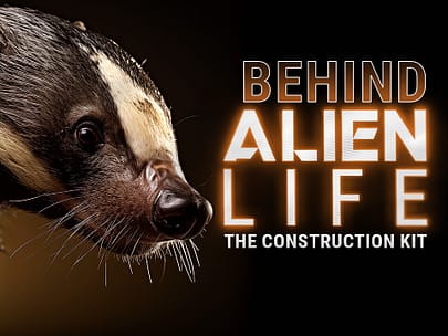 ALIEN LIFE: BEHIND THE CONSTRUCTION KIT