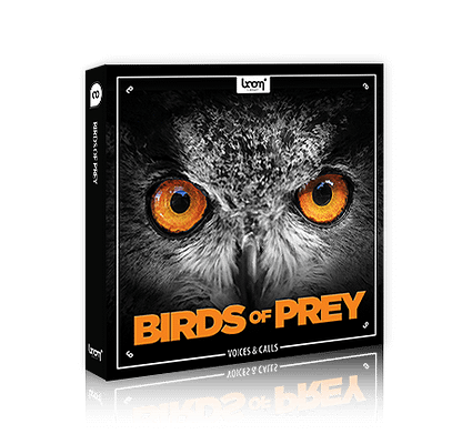 [AUDIO DEMO] BIRDS OF PREY