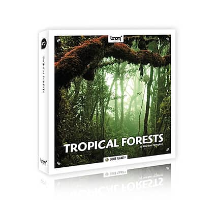 [BEHIND THE SCENES] HOW TO RECORD TROPICAL FORESTS (by Gordon Hempton)