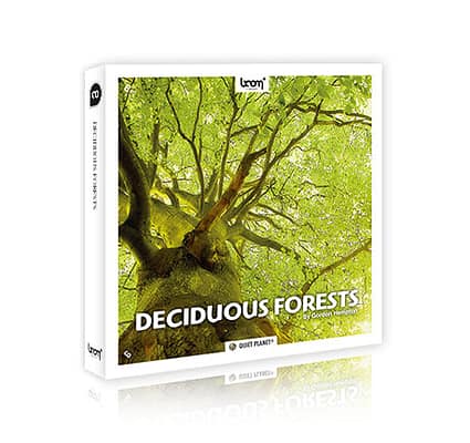 [BEHIND THE SCENES] HOW TO RECORD DECIDUOUS FORESTS (by Gordon Hempton)