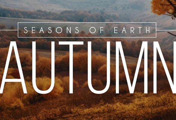 SOUNDS OF AUTUMN: AN INTERVIEW WITH THE RECORDIST