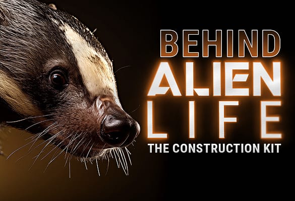 ALIEN LIFE: BEHIND THE CONSTRUCTION KIT
