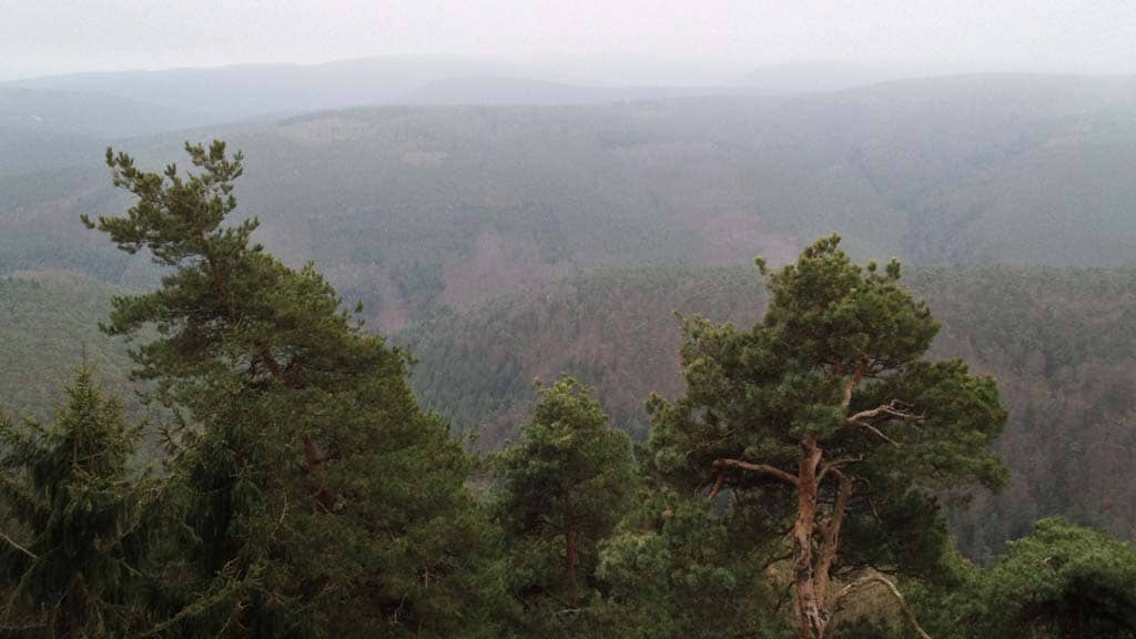 Outdoor Impulse Responses