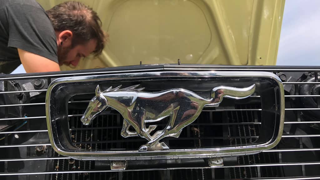 Cars – V8