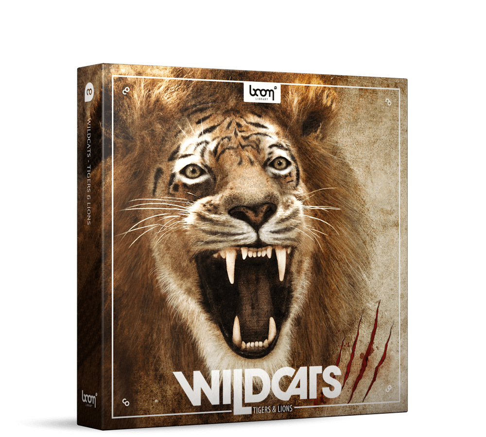 Lion Roaring - Sound Effect - Free Download 