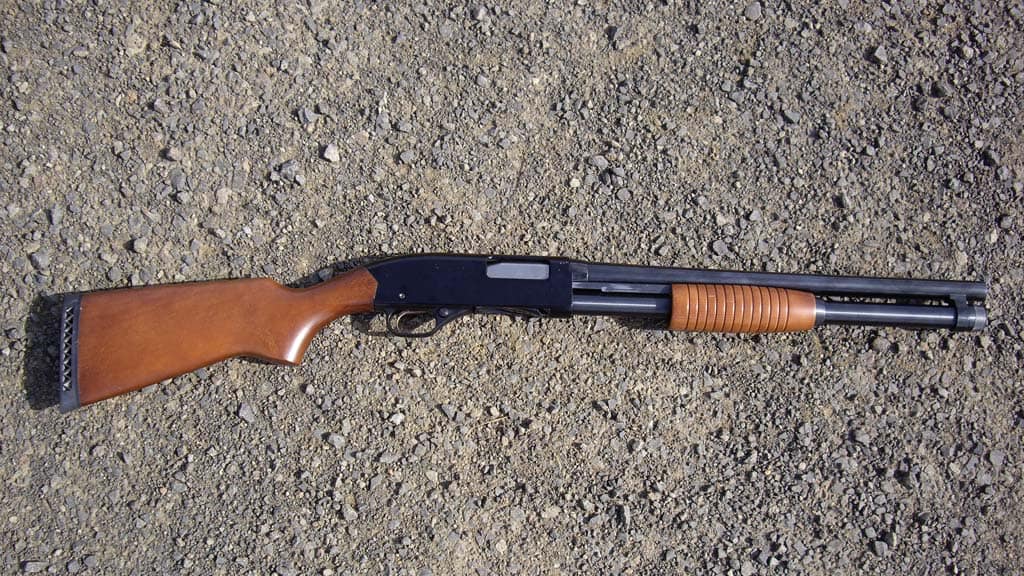 Guns