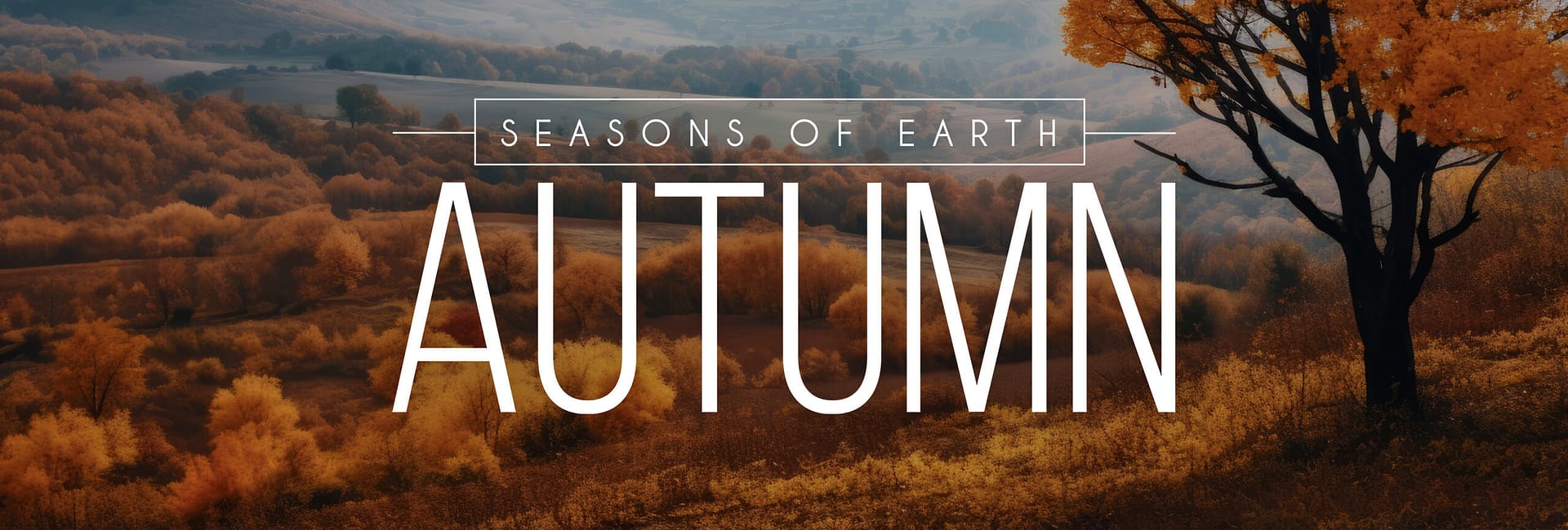 SOUNDS OF AUTUMN: AN INTERVIEW WITH THE RECORDIST